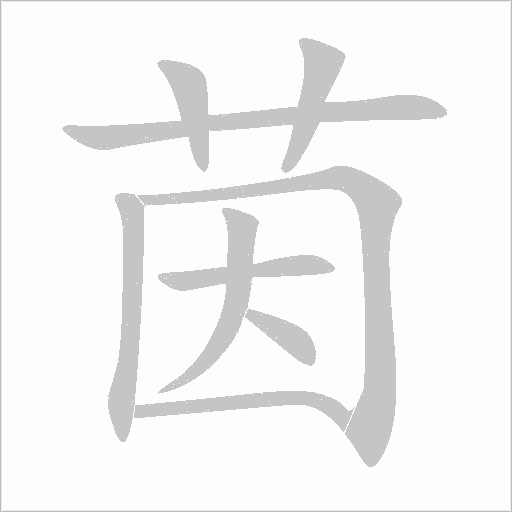 出